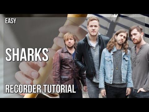How to play Sharks by Imagine Dragons on Recorder (Tutorial)