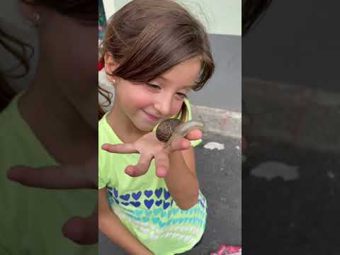 CHIARA AND BECAME AN ANIMALIST…. #shorts