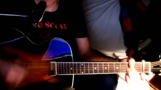 Ich liebte es... Georg Danzer Cover Interpretation mit Akustikgitarre The Loar LH-300