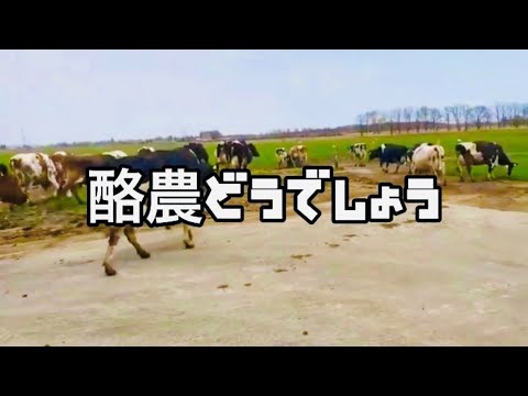 帯広畜産大学 酪農どうでしょう 活動紹介（2022）