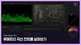 [프리미어 프로] #7 루메트리 곡선 컨트롤 살펴보기