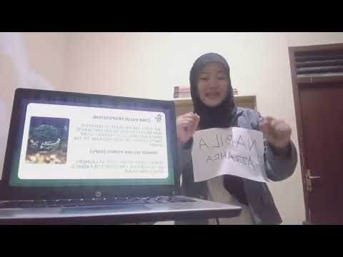 Avara_ Business Presentation 2025