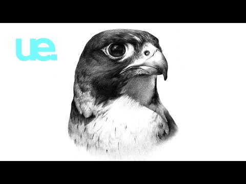 Fracture, Nah Eeto - Shada Shada | 1985 Music