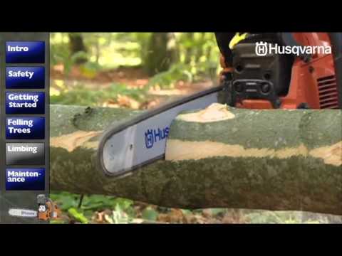 How to Work with Chainsaws - Limbing - YouTube