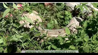 Miniatura do vídeo