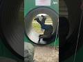 Don T Let Anybody Tell You How To Have Fun Shorts Fail Funny Playground