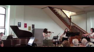 Concerto  en Ré mineur pour deux violons et violoncelle de Antonio Vivaldi,