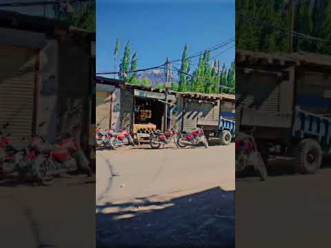 gamba#cmh#choke#beauty #music #nature #area