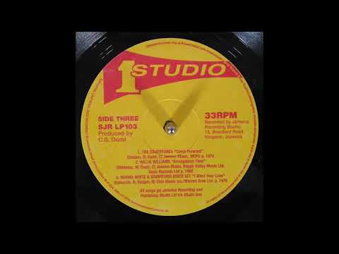 Norma White & Brentford Disco Set - I Want Your Love (1980)