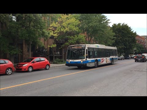 STM 2002 NovaBUS LFS Buses Compilation / August 2018