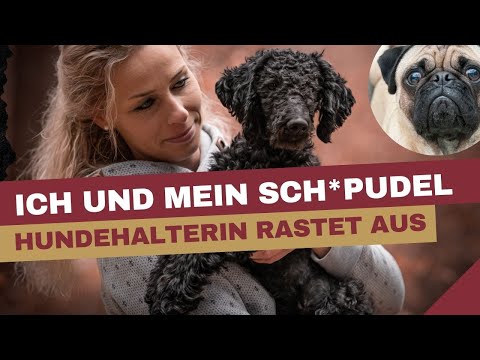 Hundehalterin rastet bei Hundebegegnung aus (Mops vs. Pudel)