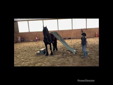 youtube preview