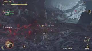 MHWilds　スラアクの練習