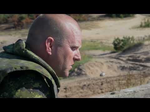 ESTONIA, ESTONIA TACP / A-10s Military footage