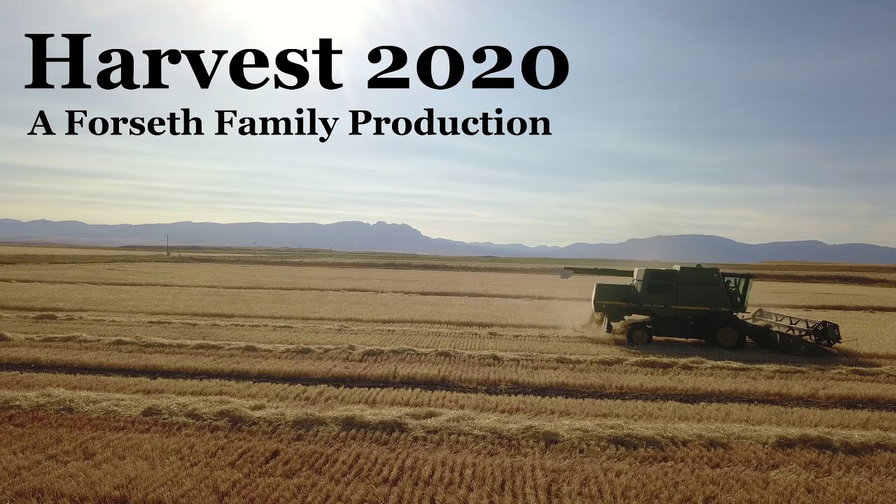 Harvest 2020 thumbnail