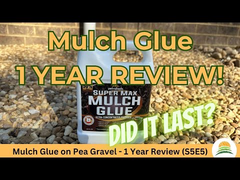 Mulch Glue on Pea Gravel - 1 Year Review ☀️ (S5E5)