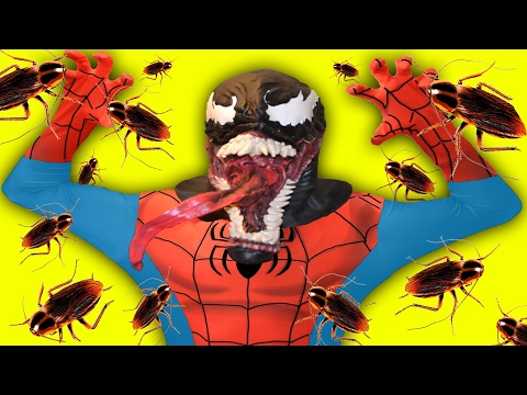 Spiderman Bad Dream! w/ Venom, Joker, Baby Spiderman, Fat Spiderman  Funny Superheroes Movie :)