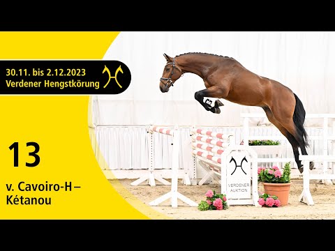 Verden Stallion Licensing 2023 - Jumping - Dec. 1/2- No. 13 Stallion by Cavoiro - H - Kétanou