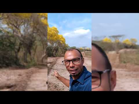 Prelanzamiento Amanterra Baranoa ATLÁNTICO 