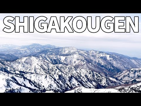 The Best Powder Snow in Japan! Yokoteyama in Shiga Kougen