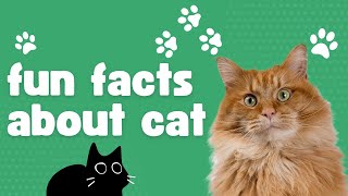 🐱 25 Fun Facts About Cats for Kids! 🐾 Learn Amazing Cat Facts!