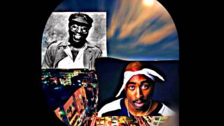Curtis Mayfield feat 2pac - trippin out how you wan&#39; it