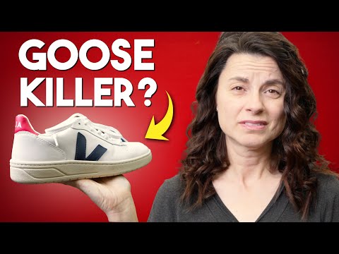 Can Veja Sneakers Dethrone Golden Goose?  $175 VS $600