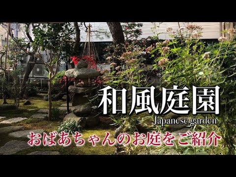 メンテナンスが簡単な、オリジナルの緑の植物化可能な庭の境界線に適した植物はどれですか