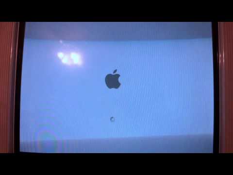 Surviving 2016 #217 iMac G3 Blue Dalmatian Running Mac OS X Panther