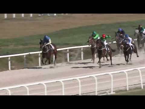 2023.04.02. 02. futam - HORVÁTH KÁROLY EMLÉKVERSENY HENDIKEP (III.o.)(szintetikus pálya)