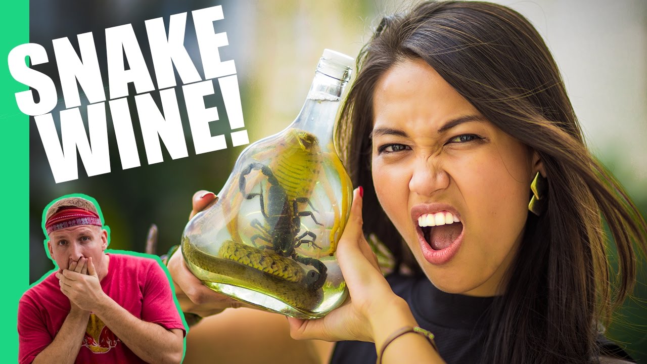 Watch video The Snake Wine Challenge in Vietnam! Now The Snake Wine Challenge in Vietnam!
