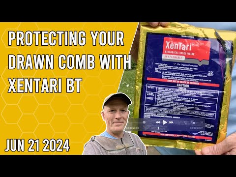 Protecting Drawn Comb with Xentari BT - Jacksonville FL Zone 9b