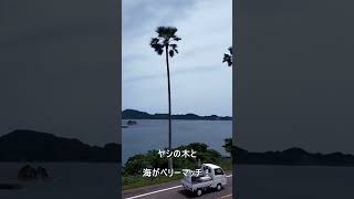 【宮崎】道の駅なんごうからの眺めで癒される動画#shorts