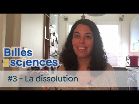 Billes de Sciences #3 : Tamar Saison - La dissolution