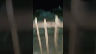 Download lagu bangunin sahur di kuburan seru mp3