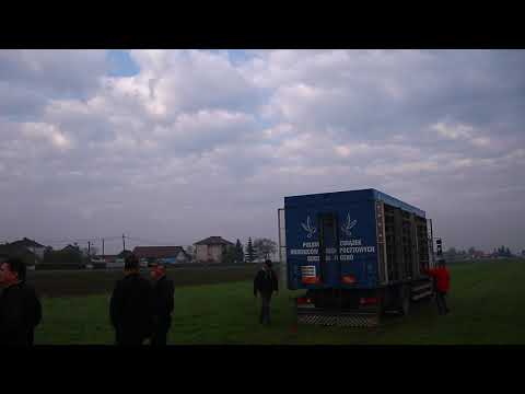 Pzhgp Krosno 1.05.2019