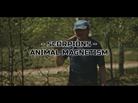 Scorpions - "Animal Magnetism" HQ/With Onscreen Lyrics!