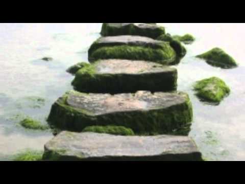 Air Compressor Training Course Tour