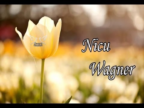 Nicu Wagner - Colaj cu cantari crestine noi
