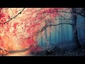 Ludovico Einaudi - Life 