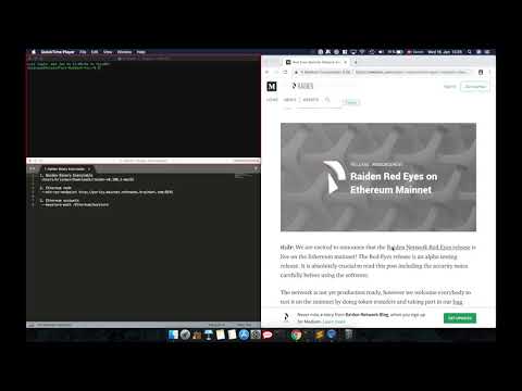 Raiden Network - How to install a Raiden node on the Ethereum Mainnet
