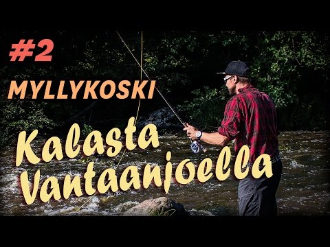 Vinkkejä aloitteleville perhokalastajille - Peltsi esittelee Myllykosken