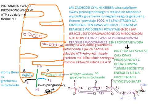 KASTET THC x KARMA DMS x ANABOL THC - szmatka feat CHARLIE P grupi dms love song