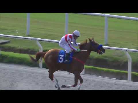 230415 c03 ORBITA SUL