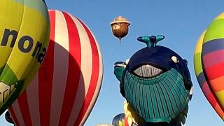 Smokey The Bear in the Sky