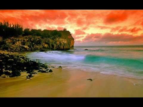 BEYOND THE REEF - Rudi Van Dalm