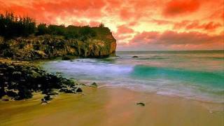 BEYOND THE REEF - Rudi Van Dalm