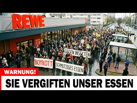 Lidl, Aldi, Rewe & Co.: WARNUNG – Diese Lebensmittel enthalten Insekten (Test 2026)