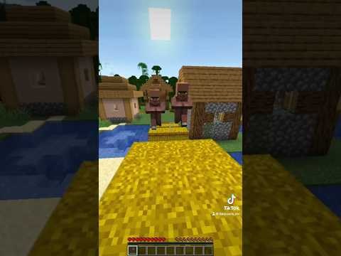 Insane Minecraft Villager Chase - EPIC!