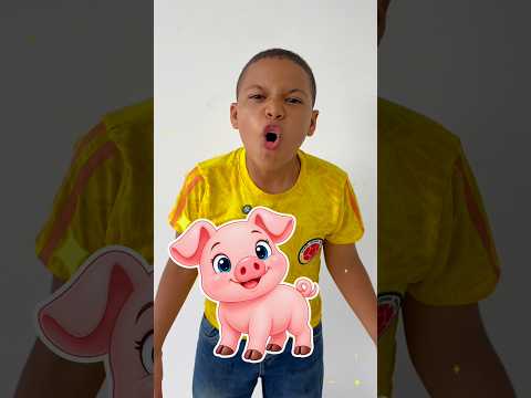 Sonido de animales 🐖